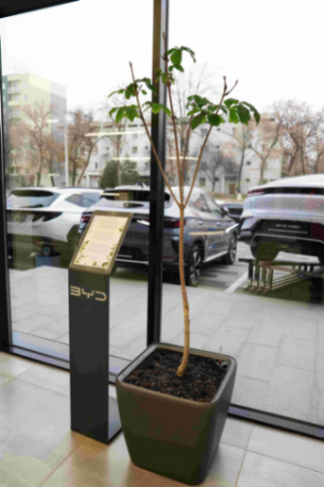 比亞迪護衛艦07中亞四國穿越記 烏茲別克斯坦篇