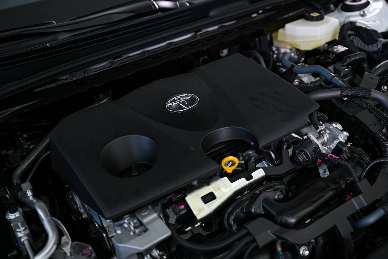 20240125_1706132204783823.jpg DSC_8234.jpg