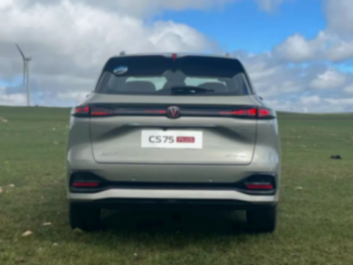 2024年廠商零售銷量榜:比亞迪奪冠,半數廠商上漲,上汽大眾等下滑