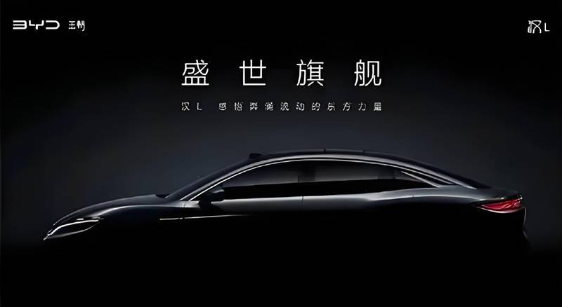 20250113_1736783451446738.jpg 948762db-6419-4b35-a427-bf181ef8e332.jpg