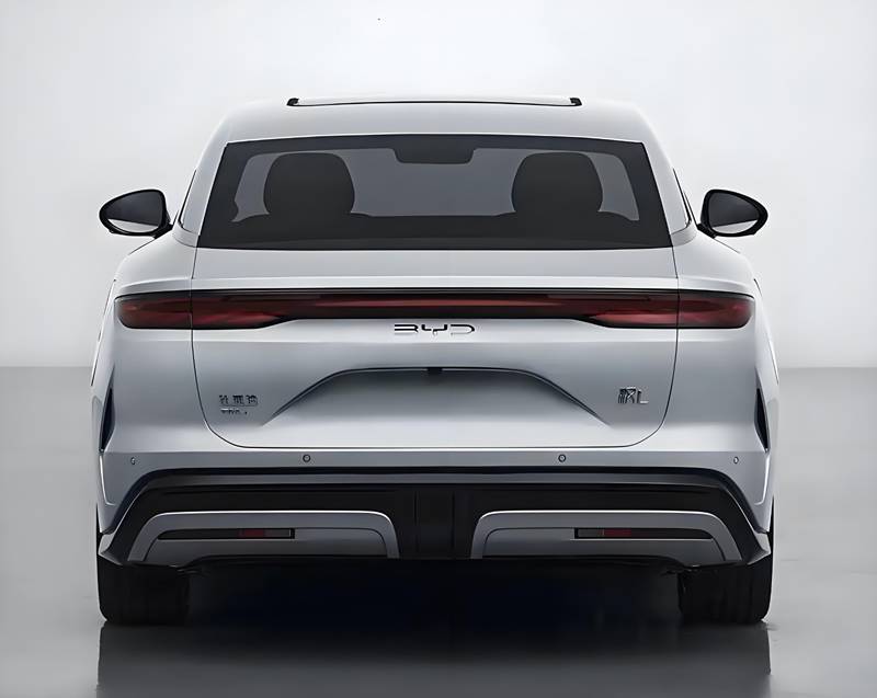 20250113_1736783469321234.jpg 18c012b7-eb25-46e6-bdf5-55d7fbac8175.jpg