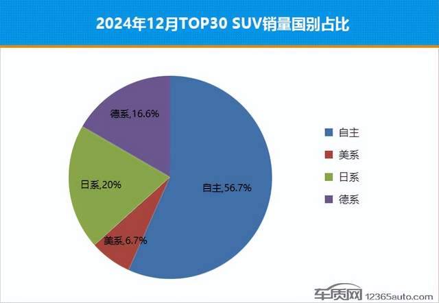2024年12月排行前30名SUV銷量投訴量對應點評