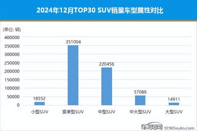 2024年12月排行前30名SUV銷量投訴量對應點評