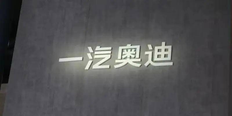 “整”完自己“整”同事,李鳳剛對奧迪下狠手!