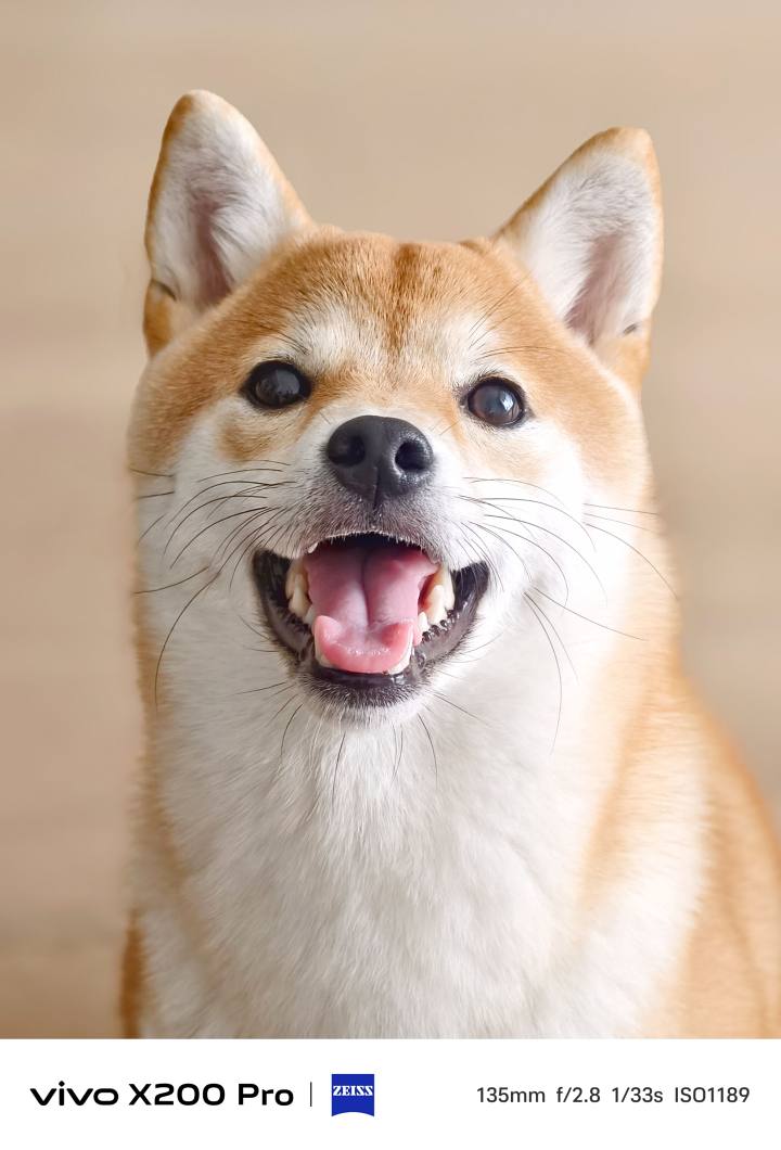 vivo X200 Pro深度體驗:全能旗艦的「水桶」哲學